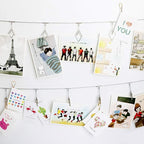 Multi-Purpose Steel Wall Hanging Photo Display Cable Wire Rod String with 12 Clips for Hanging Photos Notes and Artworks (Alligator Clip)