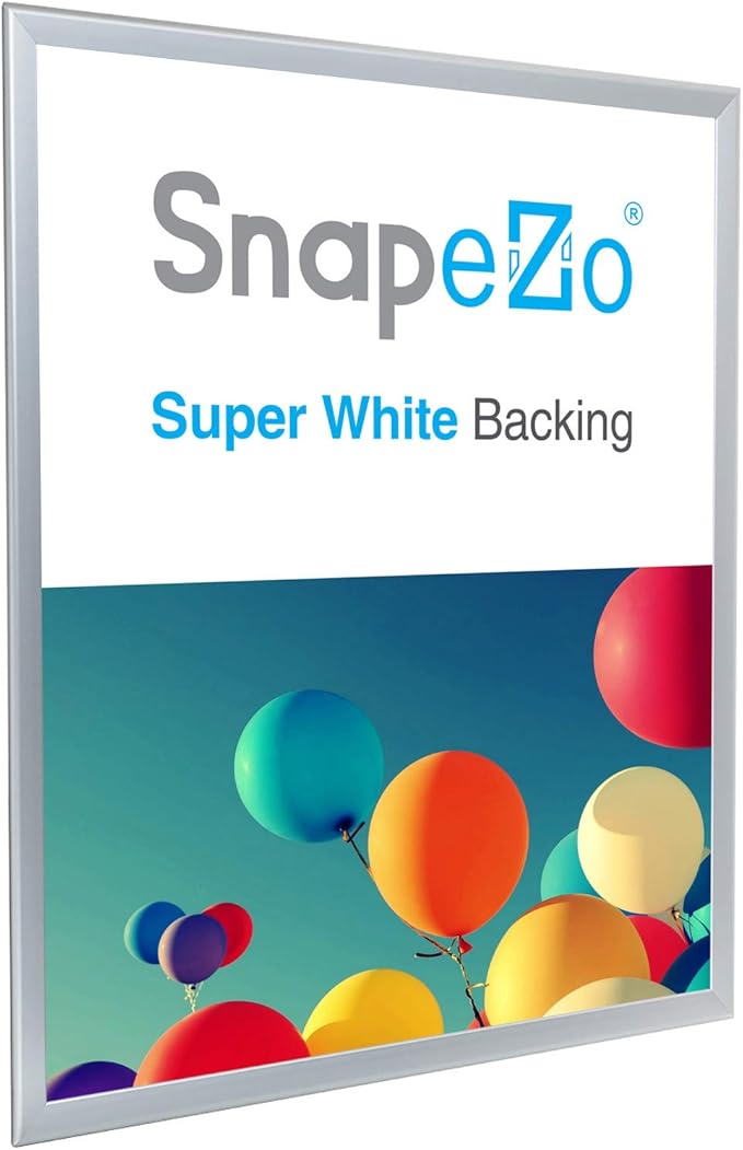 SnapeZo Poster Frame 24x30, Silver, 1.25 Inch Aluminum Profile, Front-Loading Snap Frame, Wall Mounting, Professional Series