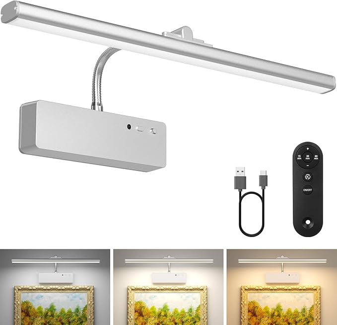 Lightbiz Picture Light, 15.35inch 5400mAh Rechargeable Picture Lights for Wall Battery Operated Wall Lights with Remote, 3 Colors Paintings Light Dimmable Art Light for Artwork, Gallery (Silver)