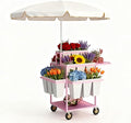 Metal Garden Cart Plant Stand with 18pcs Buckets and parasols, Slide Out Rolling Flower Display Rack, for Florist, Patio Garden, Weddings Party, Business Market (pink)