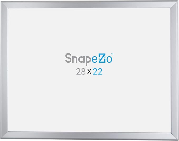 SnapeZo Poster Frame 22x28, Silver, 1.25 Inch Aluminum Profile, Front-Loading Snap Frame, Wall Mounting, Professional Series