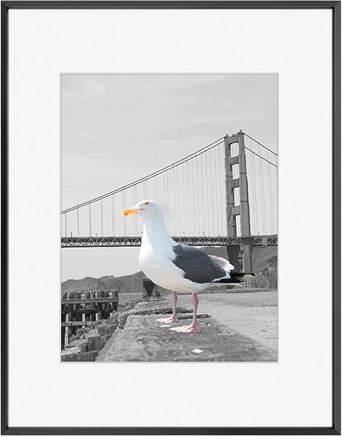 Frametory, 16x20 Metal Picture Frame with Mat for 11x14 Picture & Real Glass, Aluminum Photo Frame Collection (Black, 1 Pack)