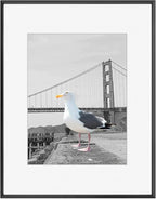 Frametory, 16x20 Metal Picture Frame with Mat for 11x14 Picture & Real Glass, Aluminum Photo Frame Collection (Black, 1 Pack)