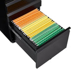 Lispin 3-Drawer Mobile Filing Cabinet with Lock, Office Storage Filing Cabinet of Legal/Letter Size, to be Installation Required (Black + Metal)