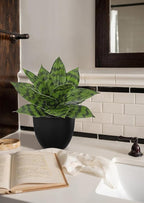 Hollyone Artificial Snake Plants 9" Faux Agave Succulent Plant Potted in Black Pot Fake Sansevieria Aloe Tropical Plant for Desk Modern Office Home Bathroom Indoor Outdoor Decor