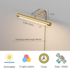 4W Picture Light Plug in, 12" Adjustable LED Art Light with Remote Control, Dimmable Wall Light for Picture Display Dartboard Art Work (Gold)