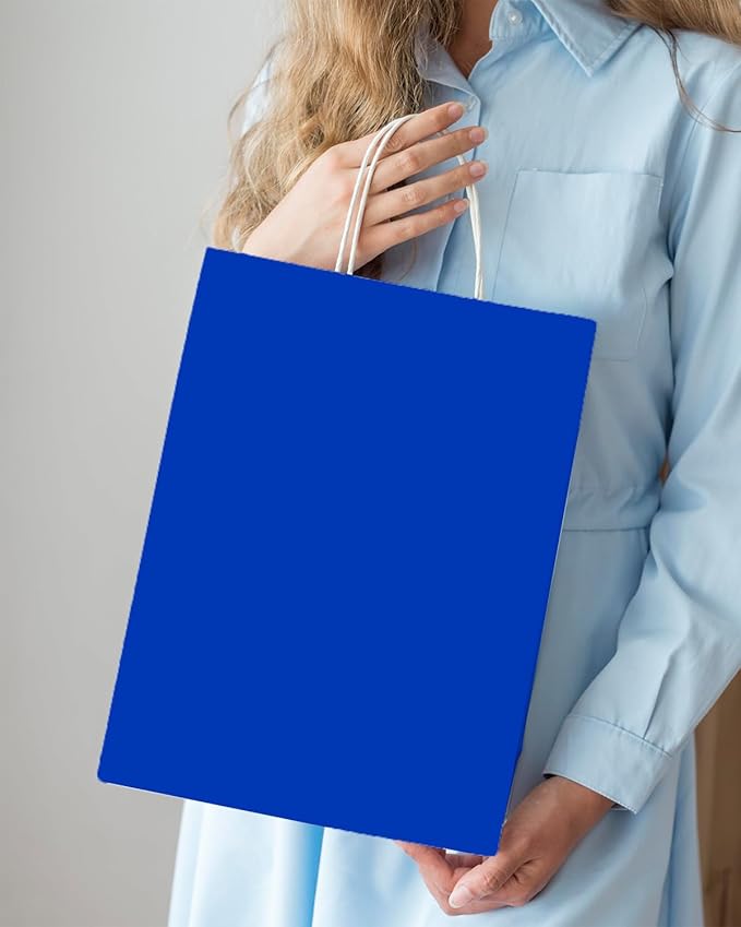 qiqee 100PCS Gift Bag with Handles Bulk Diamond Blue Paper Bags Assorted Sizes(33pcs Large 13",33pcs Medium 11",34pcs Small 8")