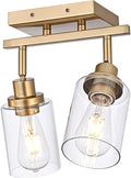 2-Light Track Lighting Fixtures Gold Finish, Multi-Directional Rotating Ceiling Tracking Lights with Clear Glass, Modern Bathroom Wall Vanity Lights Track Lighting Kits for Kitchen Accent Shop