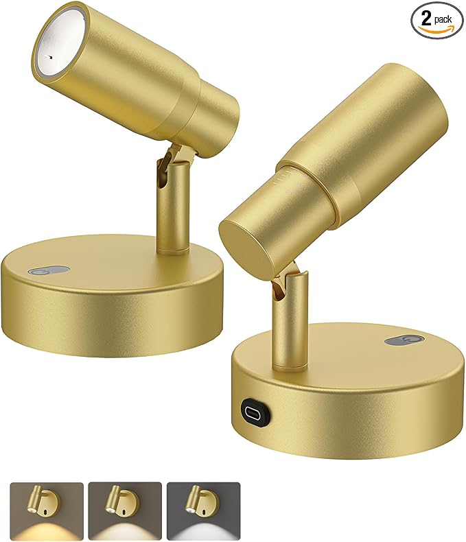 PESUTEN Spot Lights Indoor, Rechargeable Picture Light with Remote, Dimmable CCT Spotlight for Wall Art, 6000mAh Battery Uplights Indoor with Timer for Plant Artwork Painting Sofa Corner Light Gold