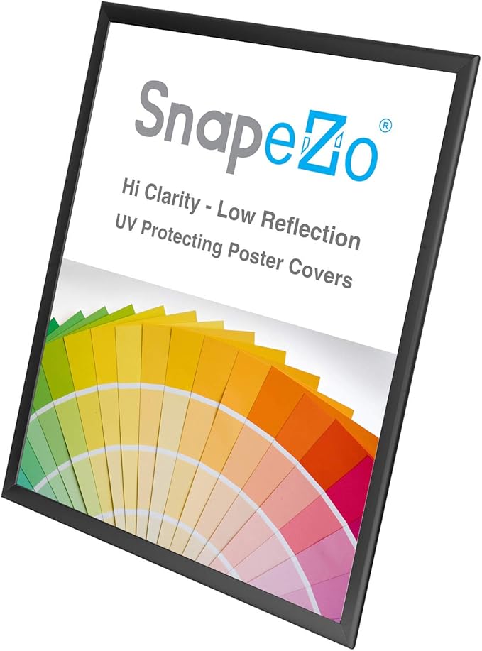 SnapeZo Black 24x39.5 Snap Frame Professional Series