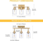 3-Light Gold Tracking Lights, Multi-Directional Rotating Ceiling Tracking Lighting Fixture with Clear Glass, Modern Bathroom Ceiling Vanity Lights Track Lighting Kits for Kitchen Accent Shop