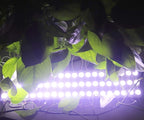 Rextin Super Bright 200pcs 3 LED Module White 5630 5730 SMD 40-45LM Per led Waterproof Decorative Light for Letter Sign Advertising Signs with Tape Adhesive Backside