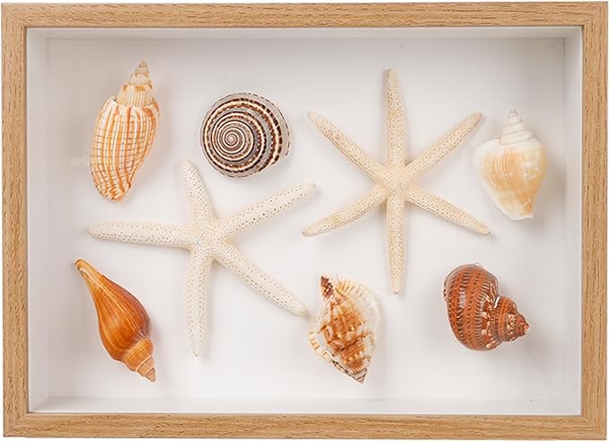 liomey Shell Ornament Christmas Decor 11.69" x 8.27" Coastal Wall Art Wooden Frame with Natural Conch Shells, Nautical Beach Home Decor, Ocean Themed Display for Living Room, Bedroom, Office(Two starfish and four conchs)