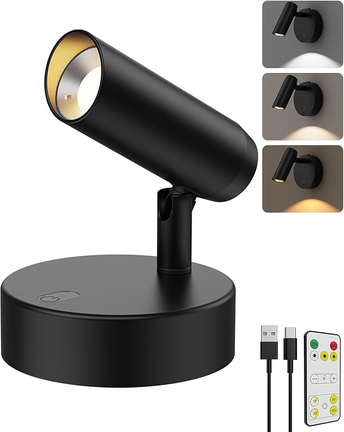 Spotlights Indoor, No-Glare Rechargeable Floor Can Light for Plants with Remote, Wireless Art Accent Spot Lights Uplight for Painting, Picture, Dartboard, Home, Corner Sofa Display