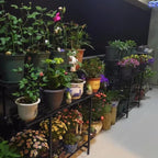 Zhongma 3 Tier Sturdy Plant Stand Space-Saving Heavy Duty Plant Holder for Home Indoor and Outdoor, L35.43 xW17.32 x H39.37 inch, 660 LBS Capacity & Heavy Duty Construction. …