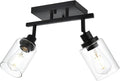 2-Light Track Lighting Kit Black Track Lighting Fixtures Bathroom Wall Sconces Ceiling Mount Kitchen Tracking Lights, Rotatable Spotlight with Clear Glass Shade for Kitchen Shop Hallway