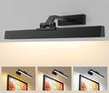 Picture Lights Wall Light 16in CCT Gallery Light | Battery Operated, Timer, Remote Control, Adjustable Brightness, Long Lasting, for Wall, for Paintings, for Living Room, Art, Dartboard, Decor