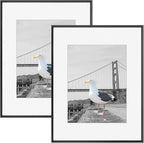 Frametory, 16x20 Metal Picture Frame with Mat for 11x14 Picture & Real Glass, Aluminum Photo Frame Collection (Black, 2 Pack)
