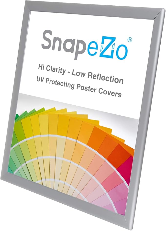 SnapeZo Photo Frame 18x24, Silver, 1.25 Inch Aluminum Profile, Front-Loading Snap Frame, Wall Mounting, Professional Series