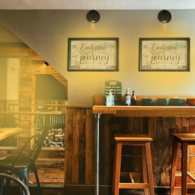 Picture Light Battery Operated, 3 Color Temperatures Picture Light with Remote, Indoor LED Spot Lights for Plants for Wall Frame Dartboard Art Painting Display Accent-Black