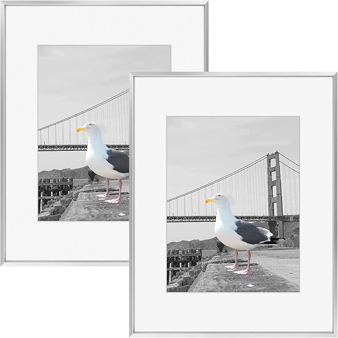 Frametory, 16x20 Metal Picture Frame with Mat for 11x14 Picture & Real Glass, Aluminum Photo Frame Collection (Silver, 2 Pack)