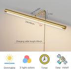 9W Picture Light Plug in, 24" Adjustable LED Art Light with Remote Control, Dimmable Wall Light for Picture Display Dartboard Art Work (Gold)
