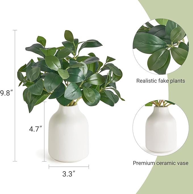 Dahey Fake Plants in Small Ceramic Vase Realistic Artificial Faux Plants Indoor Modern Farmhouse Table Centerpieces for Bathroom Kitchen Shelf Living Room Home Greenery Decor, White