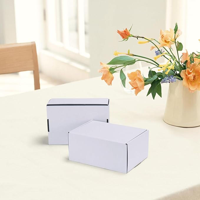 HORLIMER 10 Pack 6x4x3 Shipping Boxes, White Corrugated Cardboard Box for Mailing, Packaging, Small Business