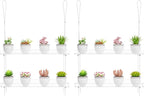 2-Pack Clear Hanging Window Plant Shelves, 2-Tier Indoor Wall Plant Stand Flower Display Organizer Storage for Microgreens,Succulents,Flower,16-Inch