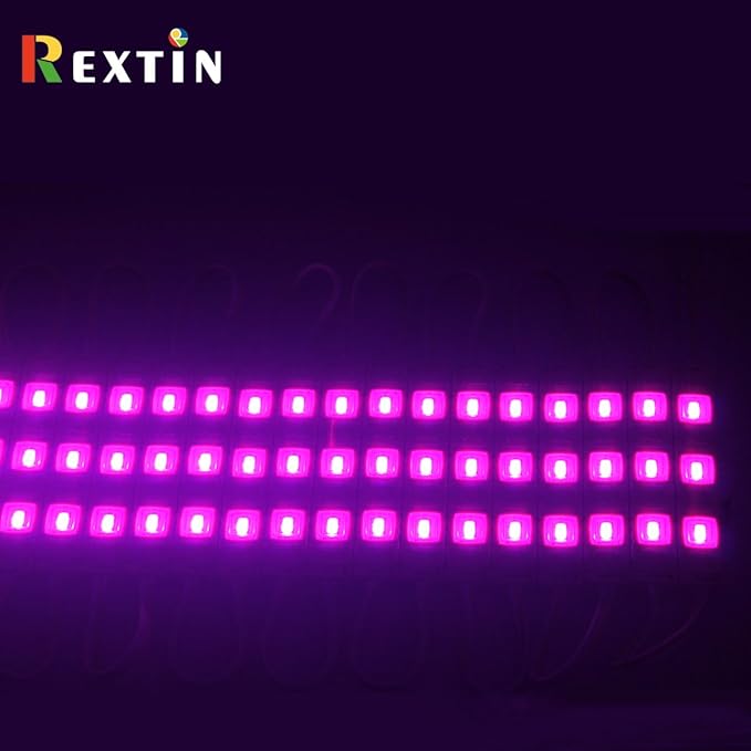 REXTiN Super Bright 200pcs 3 LED Module Pink 5050 SMD 66-72LM Each Module Waterproof Decorative Light for Letter Sign Advertising Signs with Tape Adhesive Backside