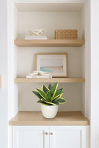 Hollyone Artificial Snake Plants 9" Faux Agave Succulent Plant Potted in White Pot Fake Sansevieria Aloe Tropical Plant for Desk Modern Office Home Bathroom Indoor Outdoor Decor