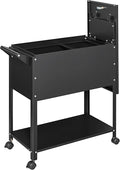 Mobile File Cabinet, 2 Tier File Cart with Wheels Hanging Files, Metal Rolling Cart with Lock and Sliding Cover for Office, Mailrooms, Cubicles, Classrooms, Libraries, Black