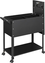 Mobile File Cabinet, 2 Tier File Cart with Wheels Hanging Files, Metal Rolling Cart with Lock and Sliding Cover for Office, Mailrooms, Cubicles, Classrooms, Libraries, Black