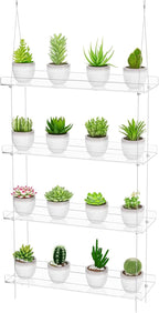 4-TierClear Plant Shelves, Height Adjustable Hanging Acrylic Indoor Wall Hanging Plant Stand Flower Display, Flower Pot Organizer Storage for Window Grow Herbs, Microgreens, Succulents, 16 Inch