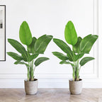 2 Pack Birds of Paradise Plant Artificial, 4FT Fake Plants Faux Banana Leaf Tree with 9 Banana Leaves, Lifelike Tall Fake Tropical Indoor Silk Floor Plant in Black Pot for House,Office,Room,Home Decor
