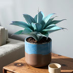 Fake Plants Artificial Agave Plants 13.8" Large UV Resistant Fake Agave Planters for Indoor and Outdoor Decorating Tropical Plant Succulents Greenery Indoor Decor (Blue) 2Pack