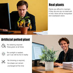 Fake Plants Small Potted, 2 Set of Artificial Plants (Eucalyptus && Rosemary), Fake Potted is Suitable for Decoring Home Office Bathrooms, Tables, Bookshelf and Modern Farmhouse Decor