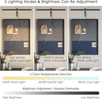 Black LED Picture Lights for Paintings Plug in,15.75 Inch Adjustable Art Light Plug in for Display Art Work, 3 Color Lighting, Plug in Picture Light with Remote for Frame Dartboard,Black