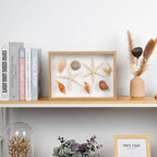 liomey Shell Ornament Christmas Decor 11.69" x 8.27" Coastal Wall Art Wooden Frame with Natural Conch Shells, Nautical Beach Home Decor, Ocean Themed Display for Living Room, Bedroom, Office(Two starfish and four conchs)