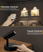 PESUTEN Spot Lights Indoor, Rechargeable Picture Light with Remote, Dimmable CCT Spotlight for Wall Art, Battery Uplights Indoor with Timer for Plant Artwork Painting Sofa Corner 1PC