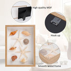 liomey Shell Ornament Christmas Decor 11.69" x 8.27" Coastal Wall Art Wooden Frame with Natural Conch Shells, Nautical Beach Home Decor, Ocean Themed Display for Living Room, Bedroom, Office(Two starfish and four conchs)