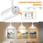 20W 3-Color Track Lighting Heads,H Type Dimmable Track Light fixtures,3000K-4500K-6000K Adjustable Track Lights Ceiling Spotlight for Retail Artwork Kitchen Lighting,Flicker Free 2000lm White