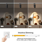 LED 12W Dimmable Track Lighting Heads with 10° to 55° Adjustable Beam Angle H Type 97 CRI 3000K Warm White Ceiling Spotlight for Accent Task Art, 1080lm, Black, 4 Pcs