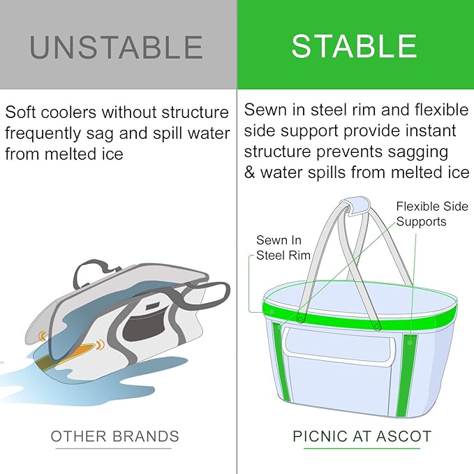 Picnic at Ascot Patented Insulated Folding Picnic Basket Cooler- Designed & Quality Approved in the USA