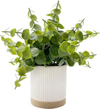 Small Fake Eucalyptus for Decorative Trays,9.5" Artificial Eucalyptus Ceramic Potted Plants for Office Desk,Faux Greenery Plant for Home Bathroom Floating Shelves Decor(Green)