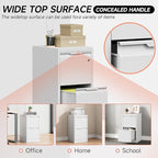 Metal Filing Cabinet with Lock,Vertical File Cabinet 2 Drawer,White File Cabinet with Lock for Home Office/Legal/Letter/A4,Lockable File Cabinets for Hanging File -Assembly Required