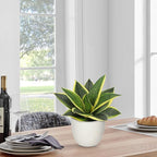 Hollyone Artificial Snake Plants 9" Faux Agave Succulent Plant Potted in White Pot Fake Sansevieria Aloe Tropical Plant for Desk Modern Office Home Bathroom Indoor Outdoor Decor