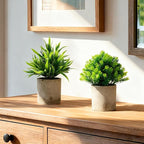 Artificial Potted Plants Set of 5, Realistic Faux Greenery in Cement Pots for Home Office Desk Bookshelf Decor, Small Fake Plants for Indoor Tabletop Decoration