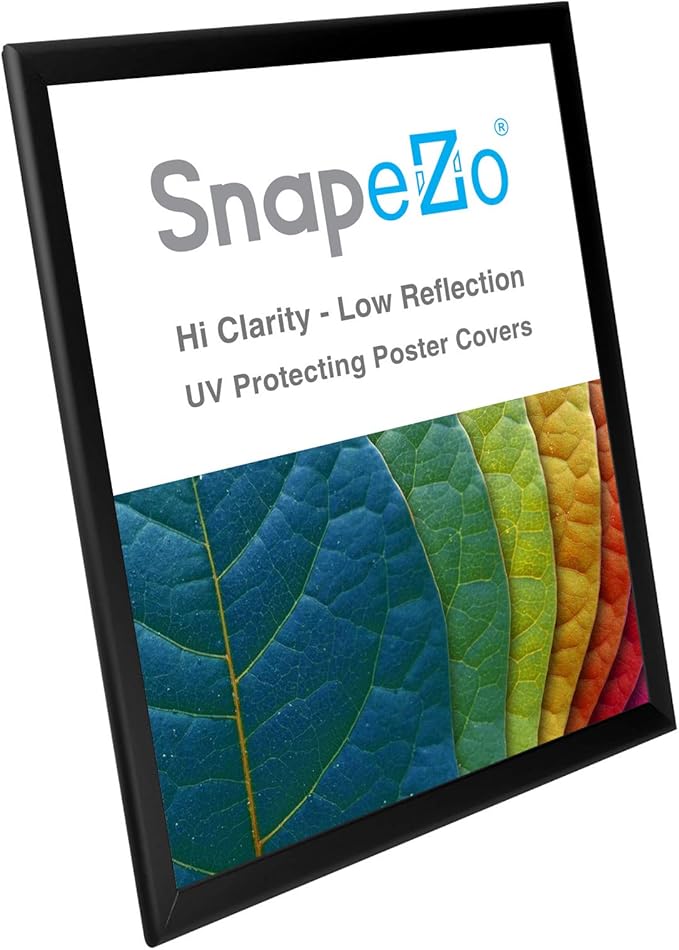 SnapeZo Poster Frame 22x28, Black, 1.25 Inch Aluminum Profile, Front-Loading Snap Frame, Wall Mounting, Professional Series