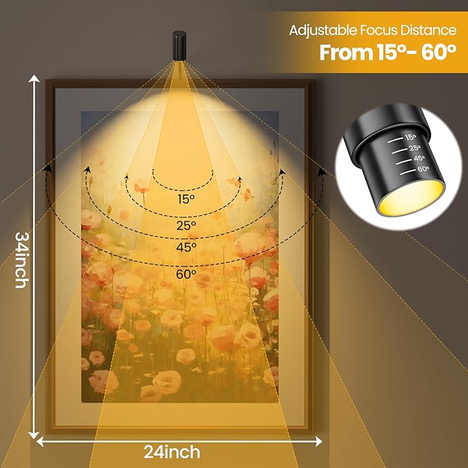 Zoomable Picture Light Spotlight,Plug in LED Picture Lights for Wall 3000K Warm Photo Frame Light with Remote Control Art Lighting for Paintings Black Mini Accent Spotlights for Gallery